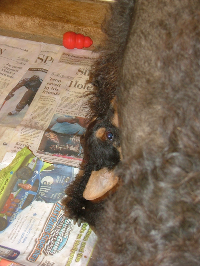 Pablo nursing
